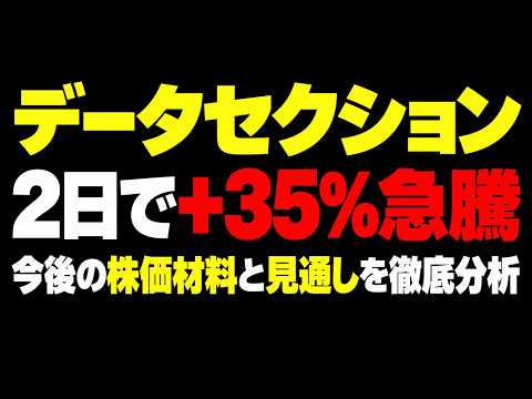 データセクション大口受注で株価急騰！次の株価材料と今後の見通しをAIが徹底分析！